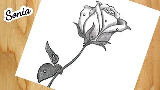 How to draw a Rose | Rose with Water Drops - Pencil sketch/ gül nasıl çizilir