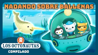 Los Octonautas - 🤿 Nadando sobre ballenas 🐋  | Episodios Completos | Compilado