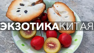 ПРОБУЮ ЭКЗОТИКУ КИТАЯ