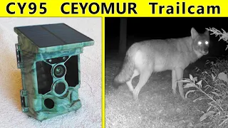 NEW! Trailcam CY95 Ceyomur with SOLAR Panel and Lithium Ion Battery Top Rated