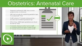 Antenatal Care – Obstetrics | Lecturio