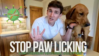 How to STOP Your Dog From Licking Their Paws | Combat Allergies and Stop Paw Chewing Naturally