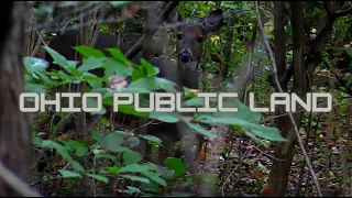 BOWHUNTING OHIO PUBLIC LAND! - Hang & Hunt in HILL COUNTRY