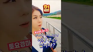 토요경마 퇴근길..근데 주로에 헐??!😲 #경마장