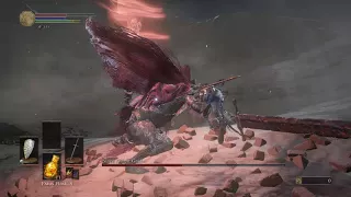 Slave Knight Gael SL1 0 Upgrades