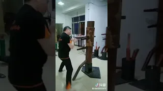 嶺南詠春拳 打木人樁 示範