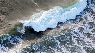 NSW teenager dies after shark mauling incident