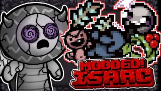 I TAKE DAMAGE EVERY 30 SECONDS! - Modded Binding of Isaac Repentance - Part 282