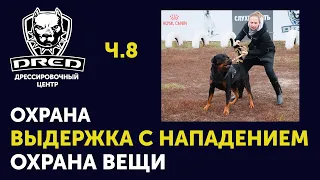 Тренировка собак для охраны | Выдержка с нападением | Охрана вещи | Охрана машины