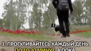 Советы на каждый день