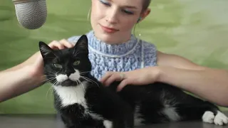 relaxing cat petting (cat purring, scratches, kitty massage) 5 min asmr