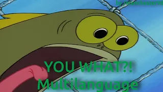 YOU WHAT?! -  Multilanguage in 41 languages (APRIL FOOLS' DAY SPECIAL 1/2)