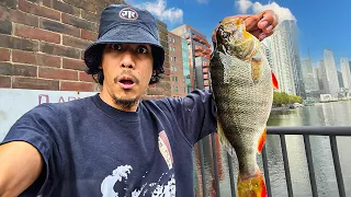 Perch Fishing in London