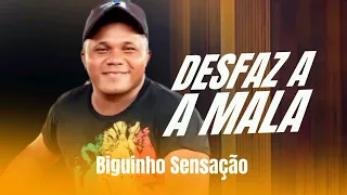 BIGUINHO SENSAÇÃO - DESFAZ A MALA (O NOVO FENÔMENO DA INTERNET) FICA COMIGO,  ARRUMA A MALA