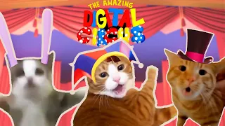 The Amazing Digital Circus - Cats Version #2 | Meme