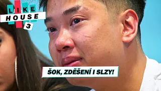 Šok, zděšení i slzy! Koho mrzel odchod Davida Nguyena nejvíc?