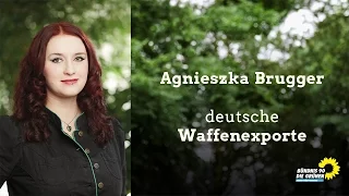 Agnieszka Brugger: deutsche Waffenexporte