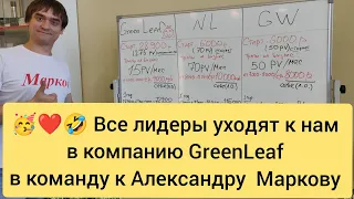 🥳 Лидеры всех сетевых компаний массово уходят в компанию Грин Лиф GreenLeaf ! 🔥❤️🥳 #гринлиф #markov