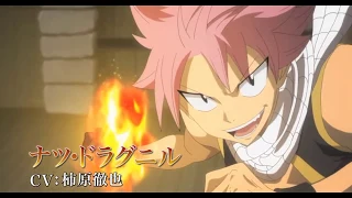 Аниме: Хвост Феи / Fairy Tail  ( Смотреть или нет )