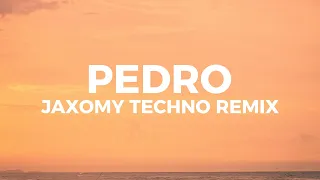 Jaxomy - Pedro pedro pedro (Techno remix) (Lyrics)