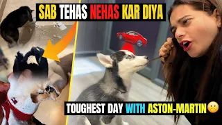 Sab Tehas-Nehas kar diya 💄🧦🥾😰|Toughest day with Aston -Martin car me potty kar di|Swati Soni Vlogs