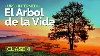 El Arbol de la Vida - Clase 4 - Curso intermedio