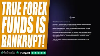 True Forex Funds has gone bankrupt. Virtual prop firms are not safe anymore.
