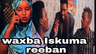 Riwaayadii Ugu qosolka badnayd || Laylon La Soo furay || by libaax kabeeye