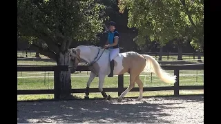 Alycia Burton & Goldrush schooling Feb 2018