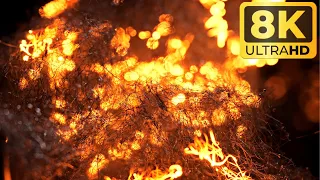 Burning Steel Wool in MACRO | OLED TEST IN 8K