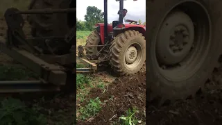 Massey Ferguson 440