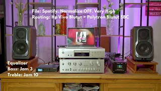 Polytron Audivo PHS 6a - Soundtest - Different Source, Same Song