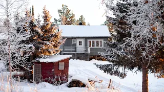 Christmas in a Lonely Cabin in Swedish Lapland | Vlog 009