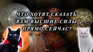 ЧТО ХОТЯТ СКАЗАТЬ ВАМ ВЫСШИЕ СИЛЫ ПРЯМО СЕЙЧАС? послание Вселенной