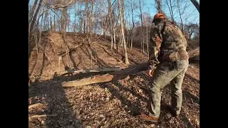 Boar Hunting in Ohio