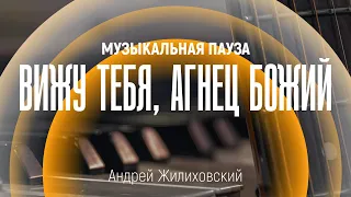 Вижу Тебя, Агнец Божий | «Музыкальная пауза»; Андрей Жилиховский