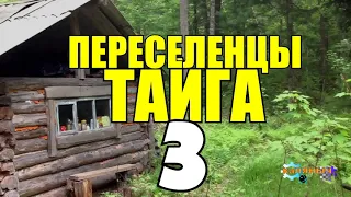 ПЕРЕСЕЛЕНЦЫ В ТАЙГЕ | ПЕЧЬ ИЗ КИРПИЧА СВОИМИ РУКАМИ | КУЛАК И БАТРАК | СУДЬБА ЧЕЛОВЕКА 3