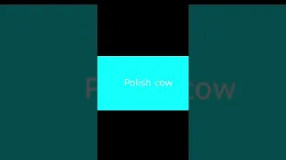 Top 5 POLSKICH OSÓB #shorts