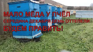 Что делать если есть проблема с кормами исправляем пчелиный клуб ☝️🐝🐝