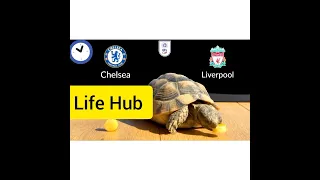 Chelsea vs Liverpool prediction | final Carabao cup 2021/22 | Turtle,eagle