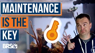 Weekly & Monthly Saltwater Aquarium Maintenance for Success! 40b