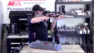 Hatsan 125 Sniper .25 Cal Airgun Review - Amazing power and accuracy!
