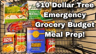 How I Made 12 Meals for Just $10 | Dollar Tree Emergency Grocery Budget Meal Prep