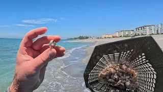 Chasing beach erosion for GOLD