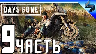 DAYS GONE (Жизнь После) Прохождение ➤ Часть 9 На Русском ➤ PS4 Pro [1080p 60FPS]