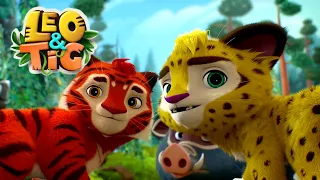 Leo and Tig 🦁 Flying High - New animated movie - Kedoo ToonsTV