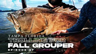 Trolling for Grouper in Tampa Bay: Deep Dive Plugs, Catching Fall Grouper Florida Saltwater Fishing