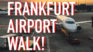 4K Airport Tour : Flughafen Frankfurt Terminal 1 : Germany main aviation hub with tons of transits