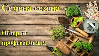 Обзор семена сезона