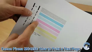 Canon Pixma MG4250: How to Print a Nozzle Check Test Page